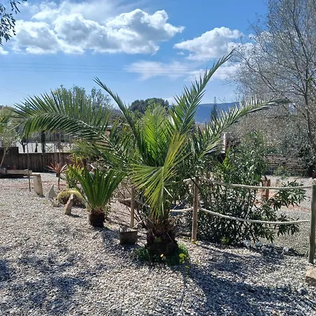 Casita Bonita Tatil Evi